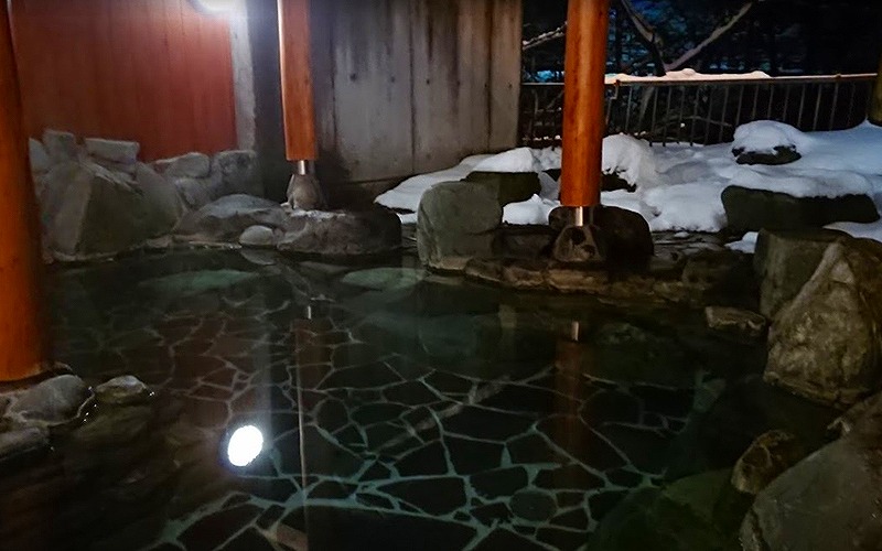 群馬県湯檜曽温泉で愛犬と宿泊