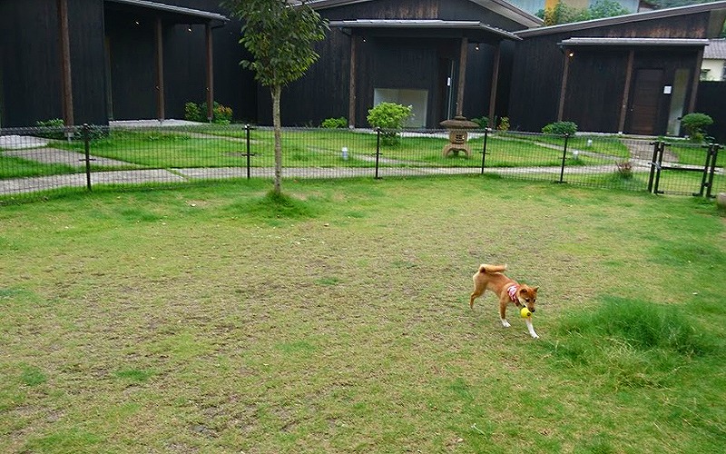 九州大分県別府で愛犬と泊まれる宿