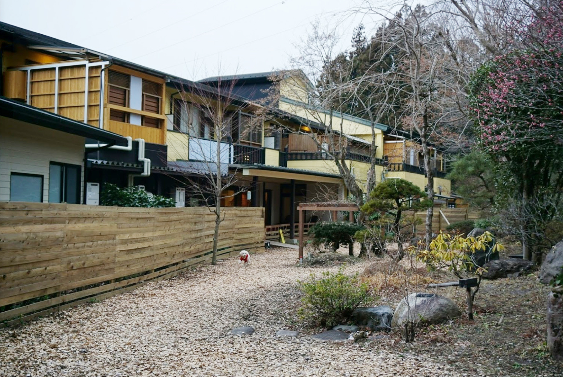 鬼怒川 湯わん。栃木県日光市でペットと泊まれる宿