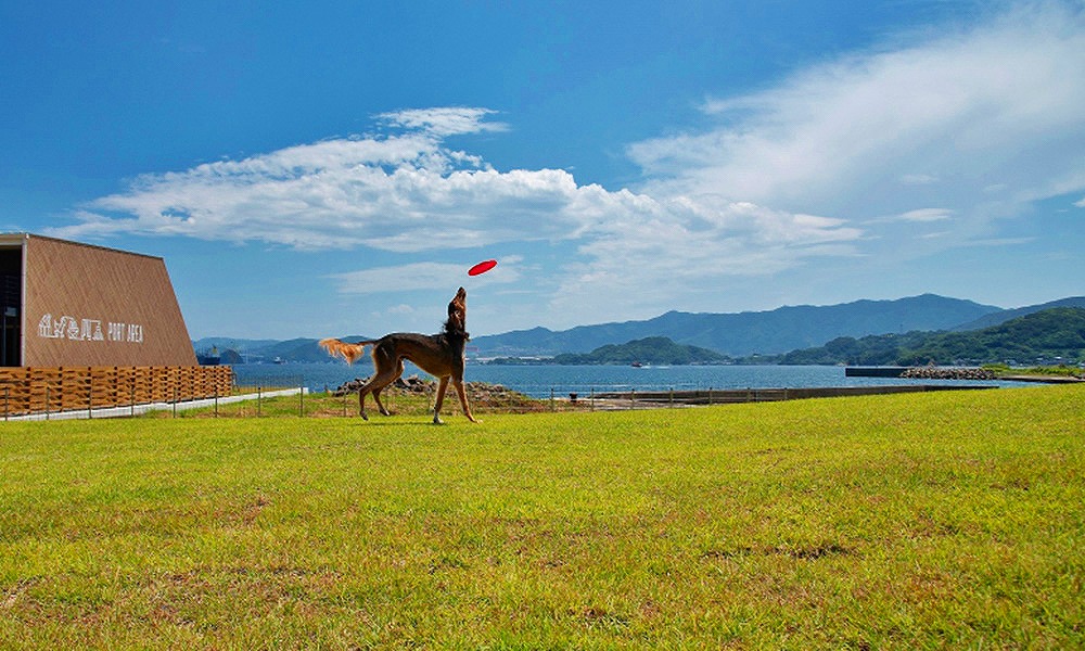 九州長崎で愛犬と泊まれる宿