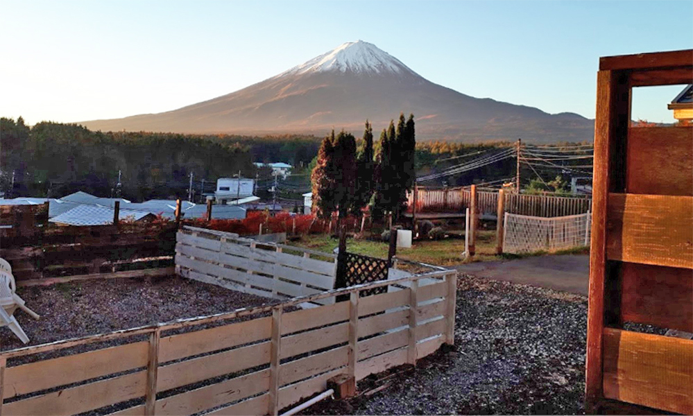 富士山が見える犬と泊まれる宿