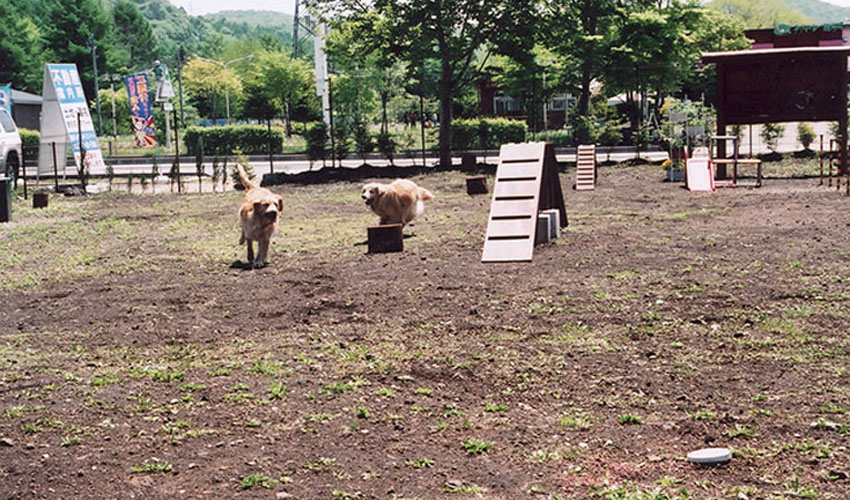 長野県軽井沢で愛犬と宿泊