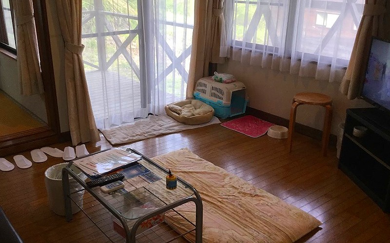 福島県裏磐梯で犬と泊まれる宿
