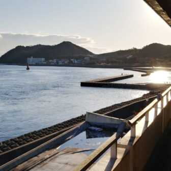 旅館水の 口コミ 徳島県小鳴門海峡でペットと泊まれる宿