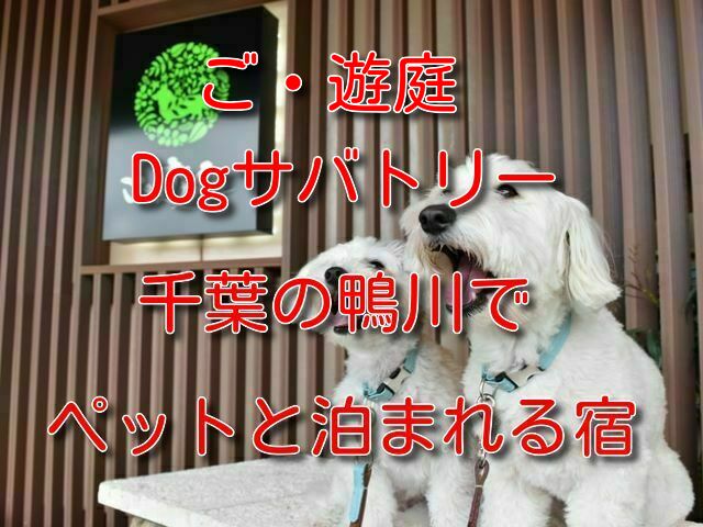 ご・遊庭 Dogサバトリー