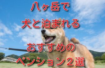 八ヶ岳 ペンション 犬