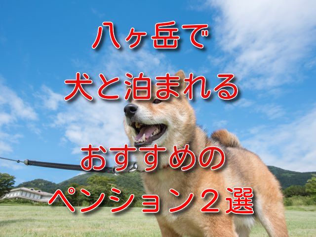 八ヶ岳 ペンション 犬
