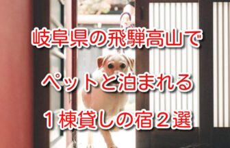 飛騨高山ペットと泊まれる宿