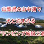 山中湖 犬と泊まれる
