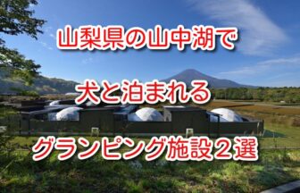 山中湖 犬と泊まれる