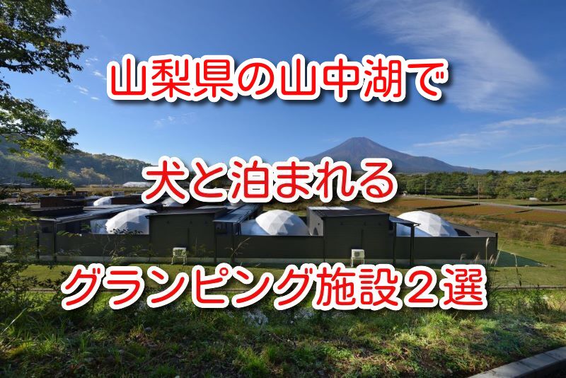 山中湖 犬と泊まれる