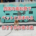 四国 ペットと泊まれる宿