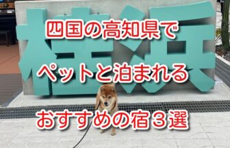 四国 ペットと泊まれる宿