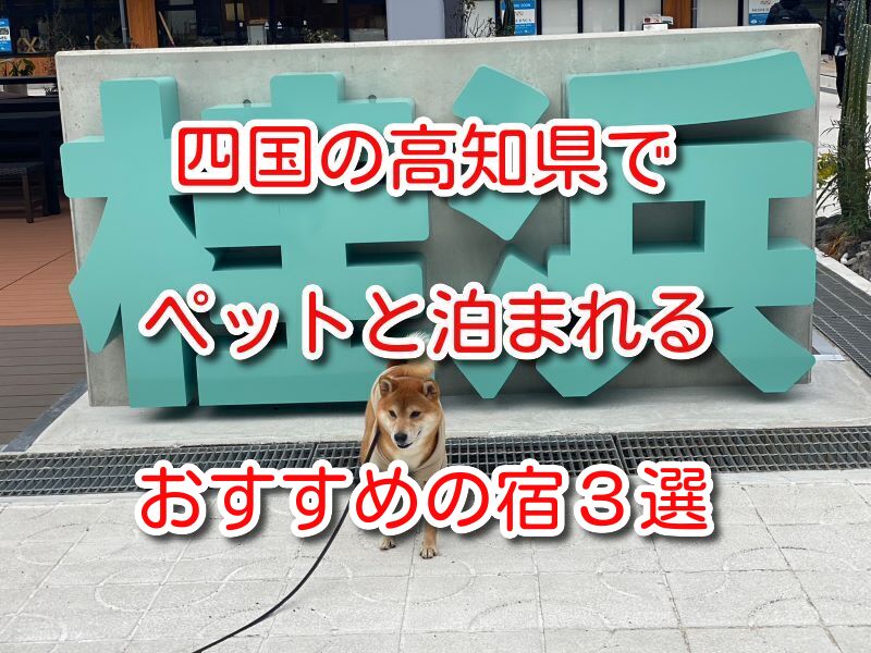 四国 ペットと泊まれる宿