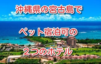 宮古島 ペット 可