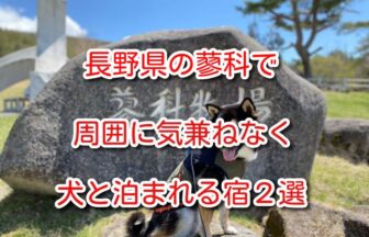 蓼科 犬と泊まれる宿