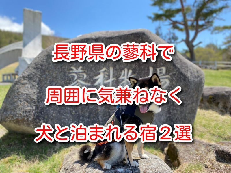 蓼科 犬と泊まれる宿