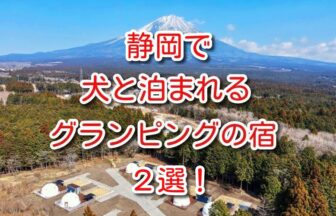 静岡 犬と泊まれる宿